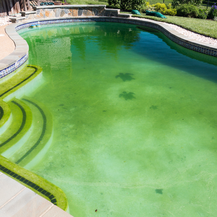 Pool Services in Texas