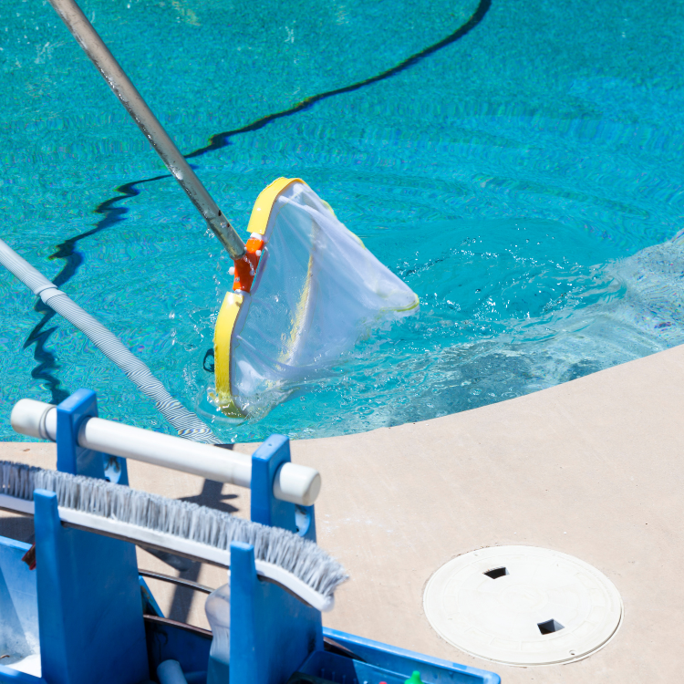 Pool Services in Texas